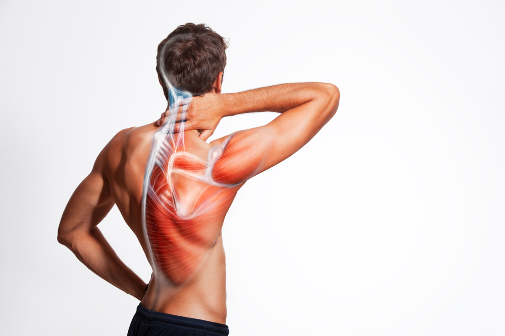 Doctor wellness, red light bed, red light panel, photo-biomodulation, red light therapy, sports recovery, longevity, biohacking, bio-hack, rejuvenation, 3 wavelength panel, recovery. Chronic pain. Anti-aging, canopy